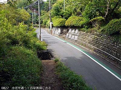 七生丘陵散策路東コース(多摩)